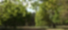 Woodland Natural Burial Ground Lincolnshire