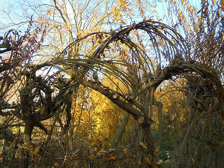 Willow sculpture at Sleaford