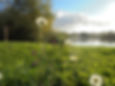 Millenium Green in Hykeham