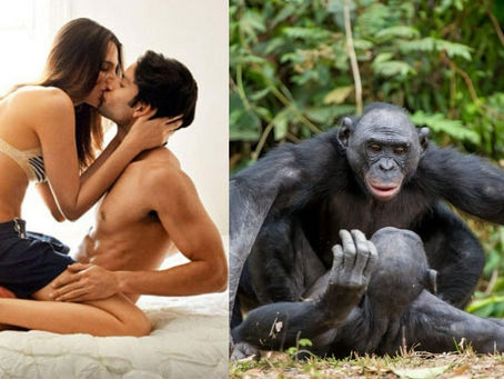 ?יש דבר כזה, סקס טבעי