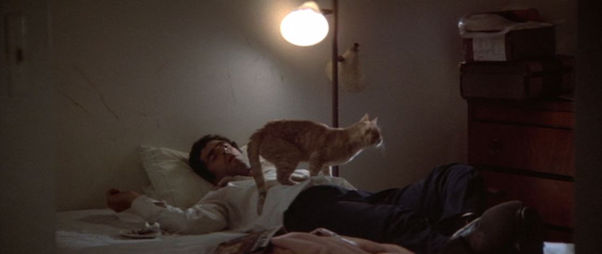 The Long Goodbye
