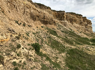 UNDERCLIFF BEE HABITAT - BULVERHYTHE.JPG