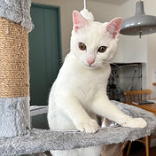 IMG_6156 2_edited.jpg