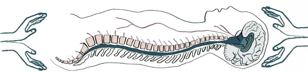 cranio sacral therapy