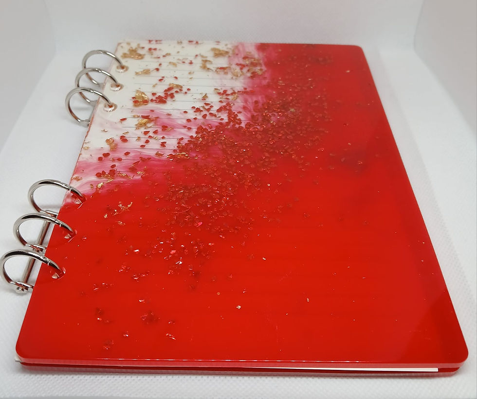 Miniature : Home - Carnet