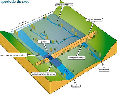 diff-rents-types-d-inondation-inondation