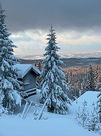 natur_winter_norway.JPG