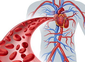 tratamento de doenças arteriais.jpg