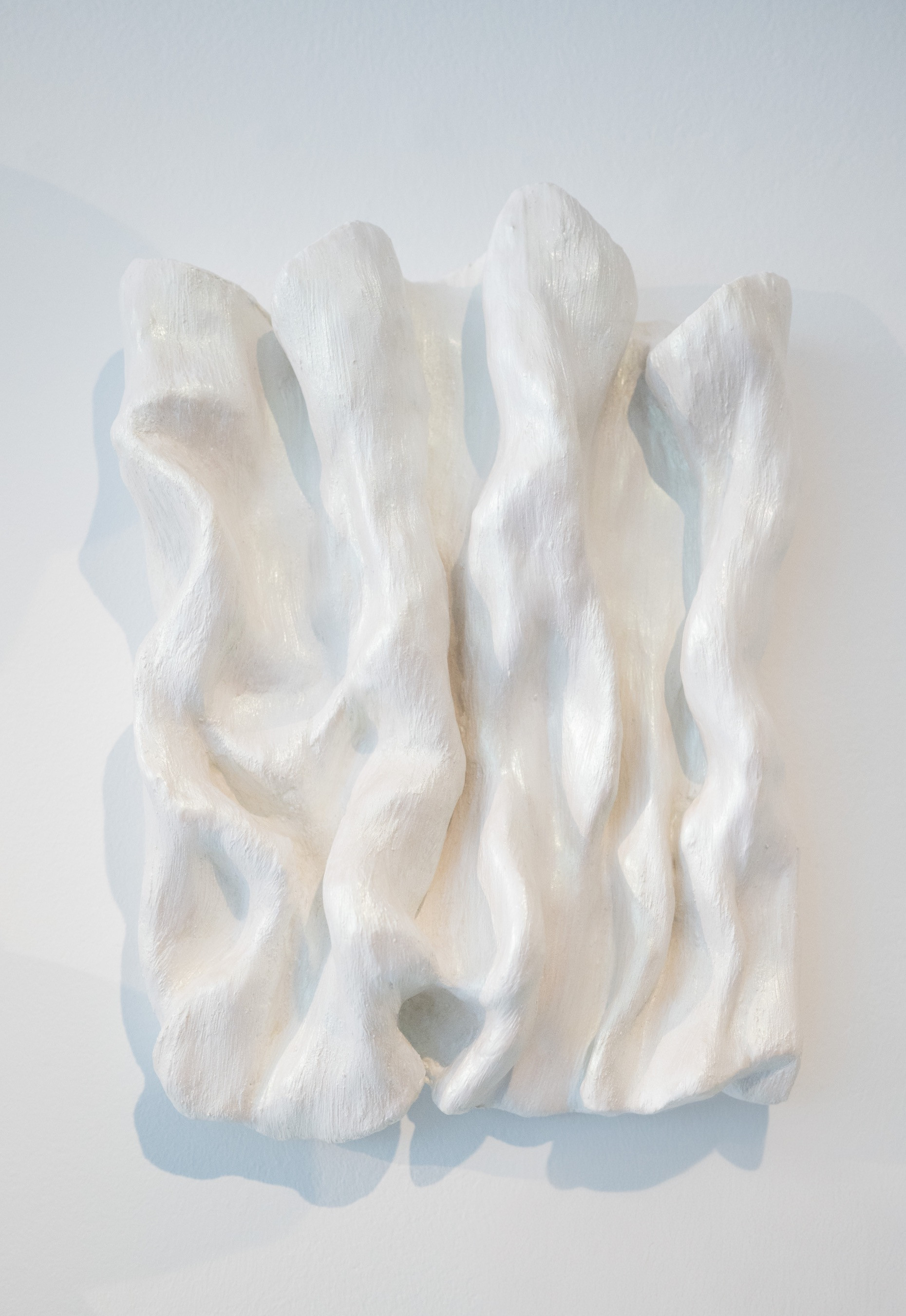 CORAL (2024)