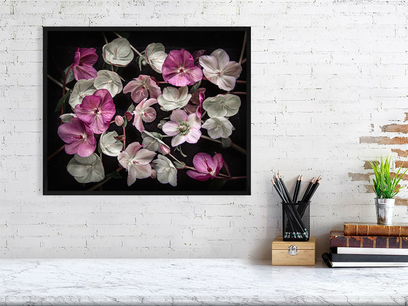 Thumbnail: purple hellebores, purple flowers, framed photo of purple flowers