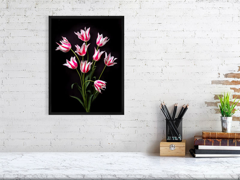 Thumbnail: Marilyn Tulips