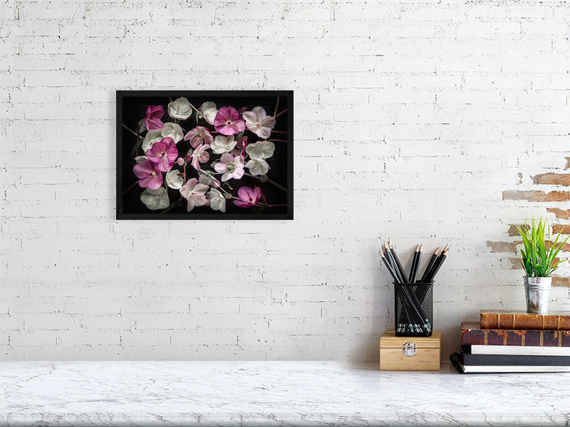 framed photograph of hellebore flowers, hellebore flowers, purple flowers