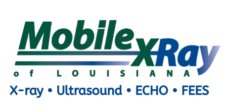 X-ray • Ultrasound • ECHO • FEES (1).png