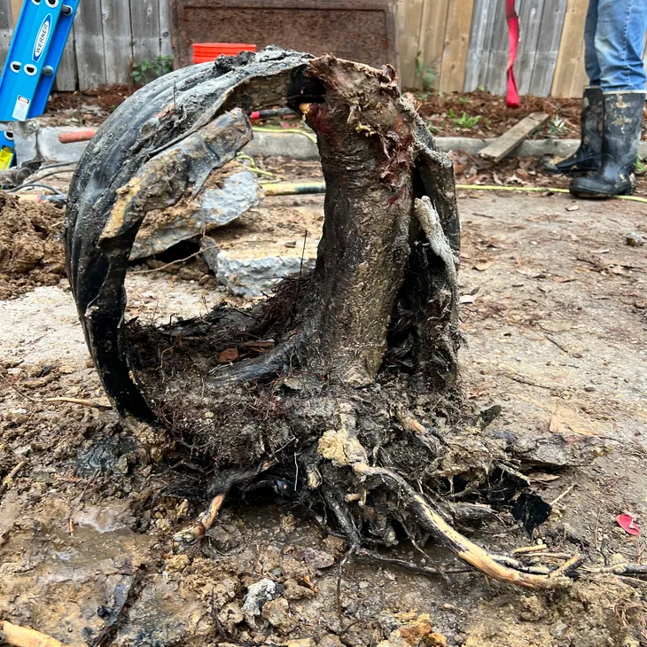 Trinity Plumbing Drainage Repair