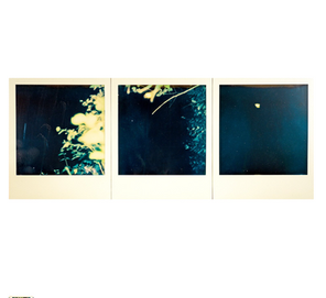 What the Trees Witnessed (triptych)