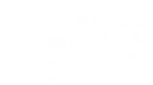 Seleção Oficial - Fora de Competição.png