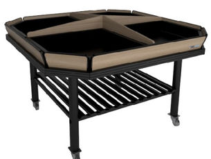 Central Single Premium - F45