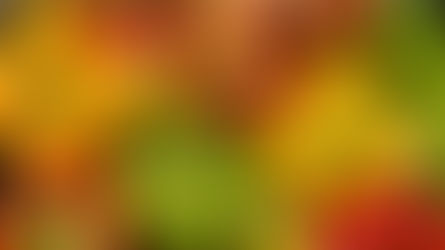 פלפלים ממולאים