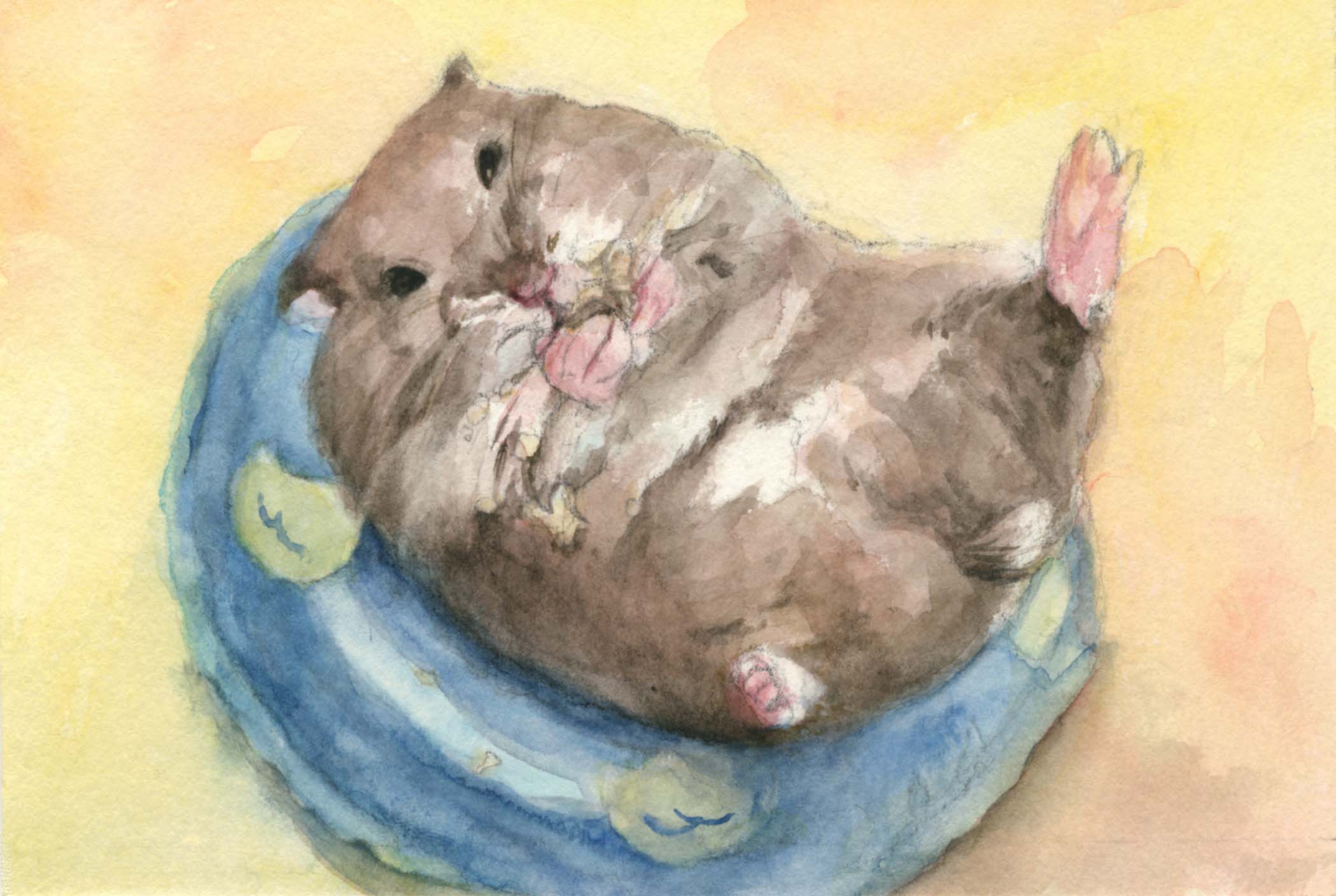 ラテちゃん