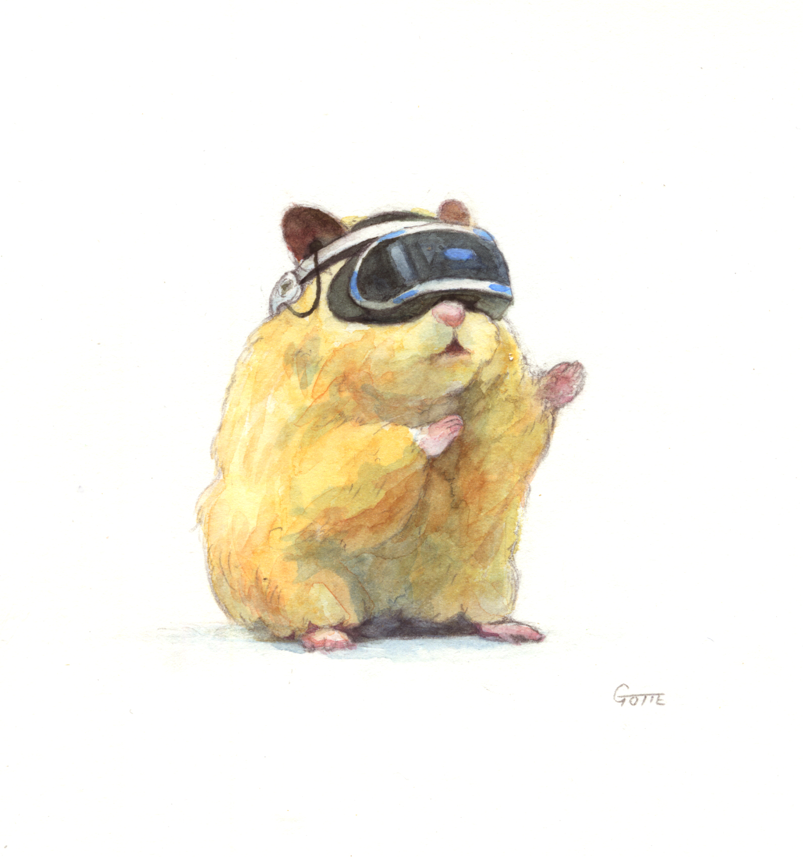 VR
