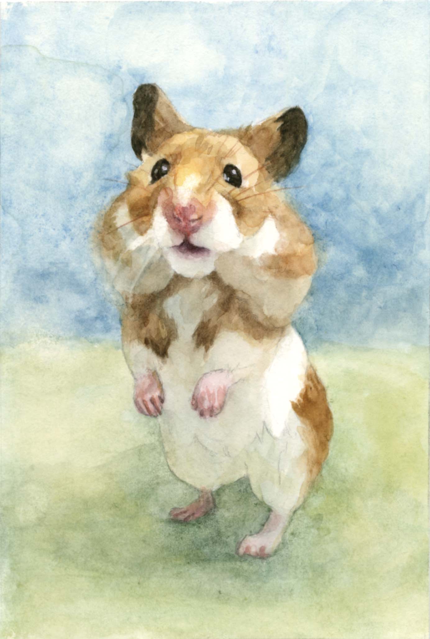 ハム助ちゃん