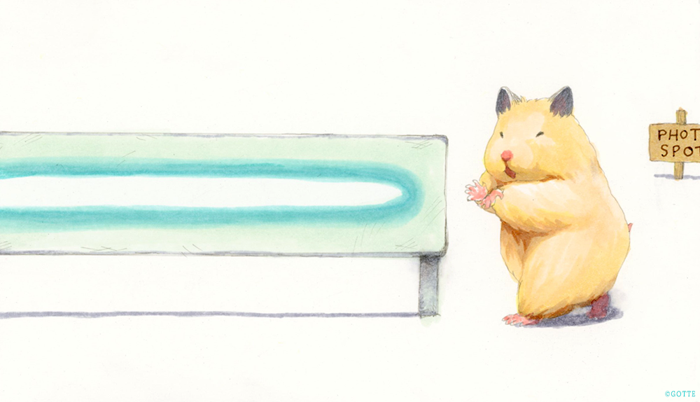 フォトスポット