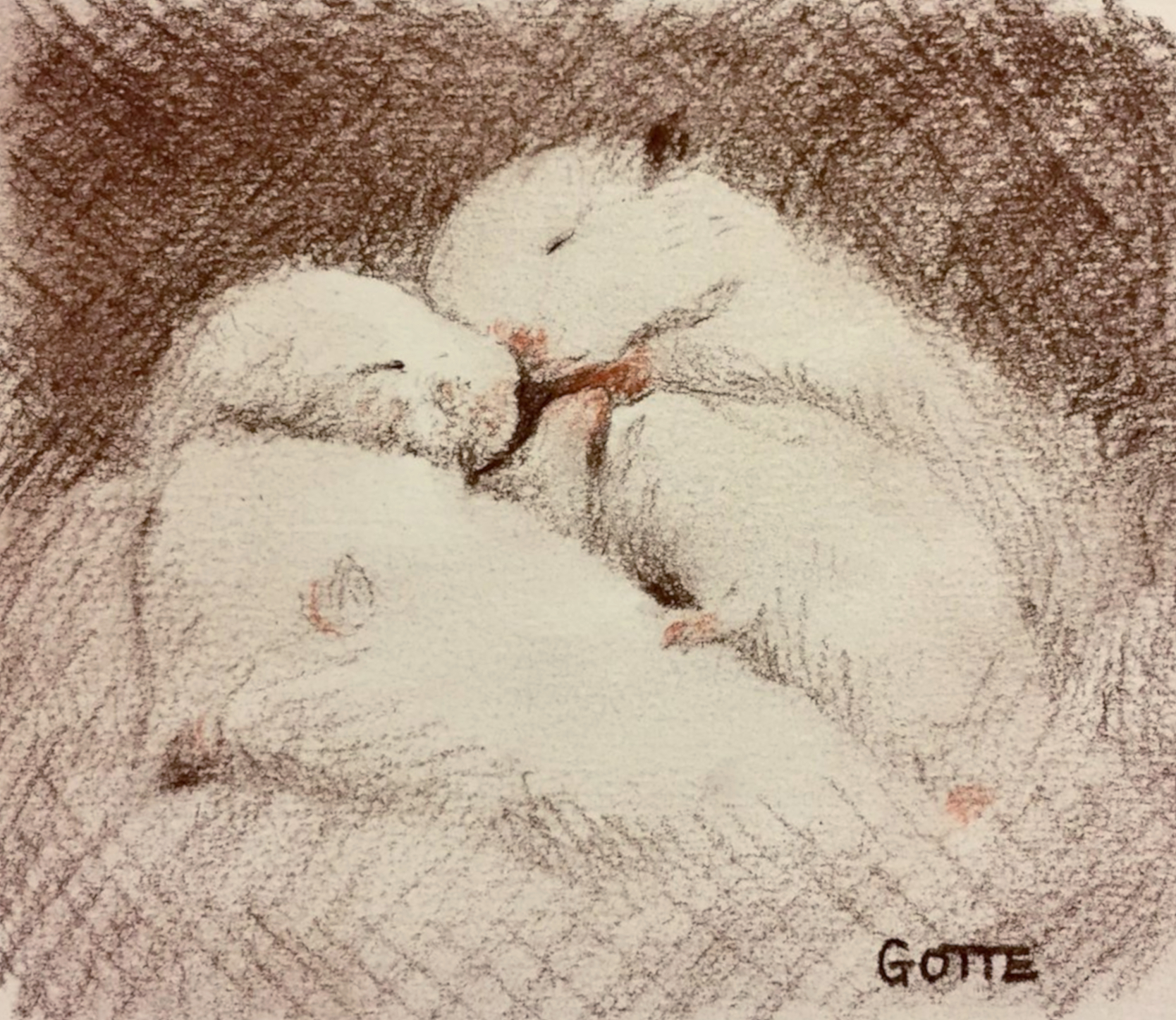 小林さん家のハムちゃん’s