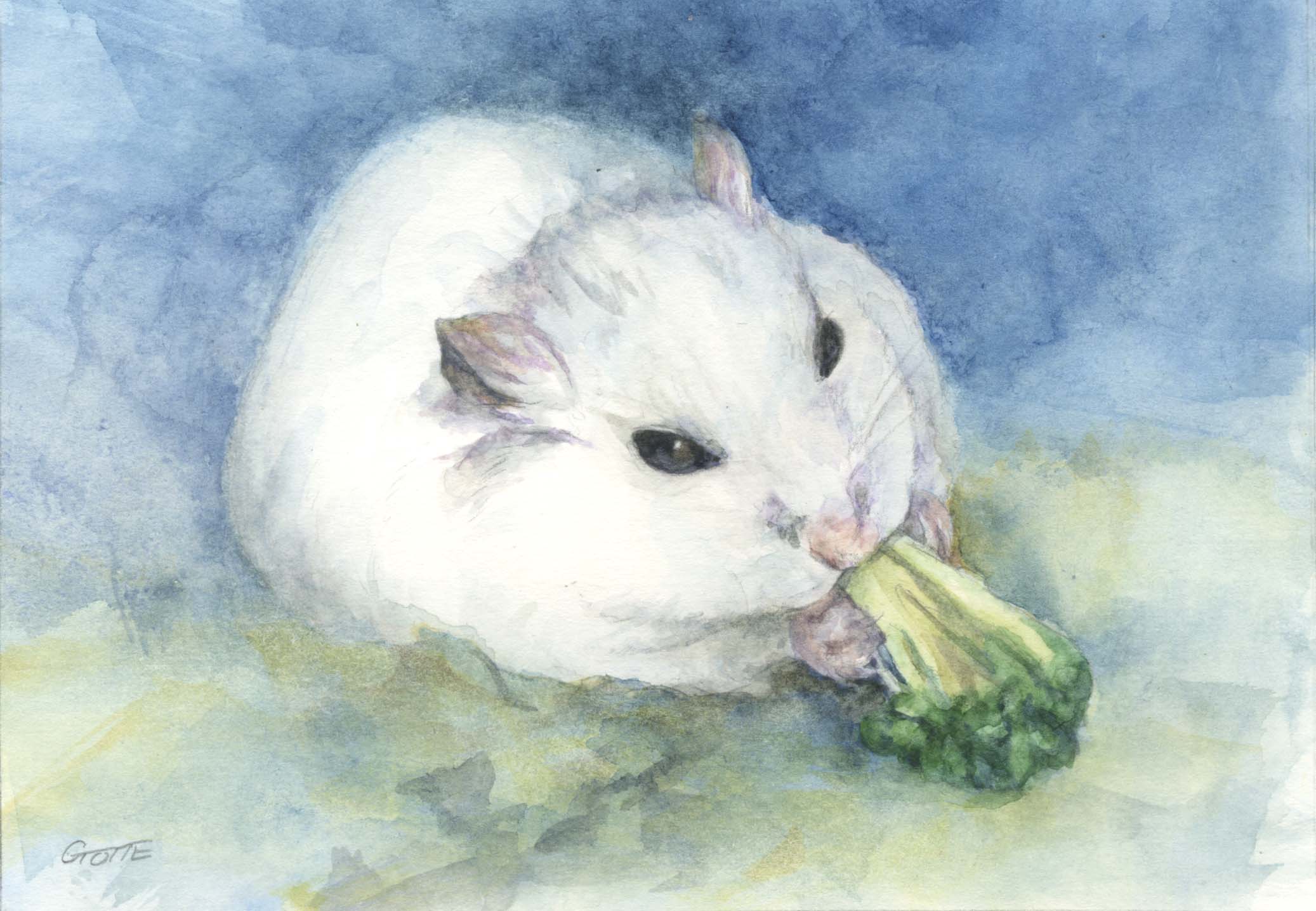 もっちぃちゃん
