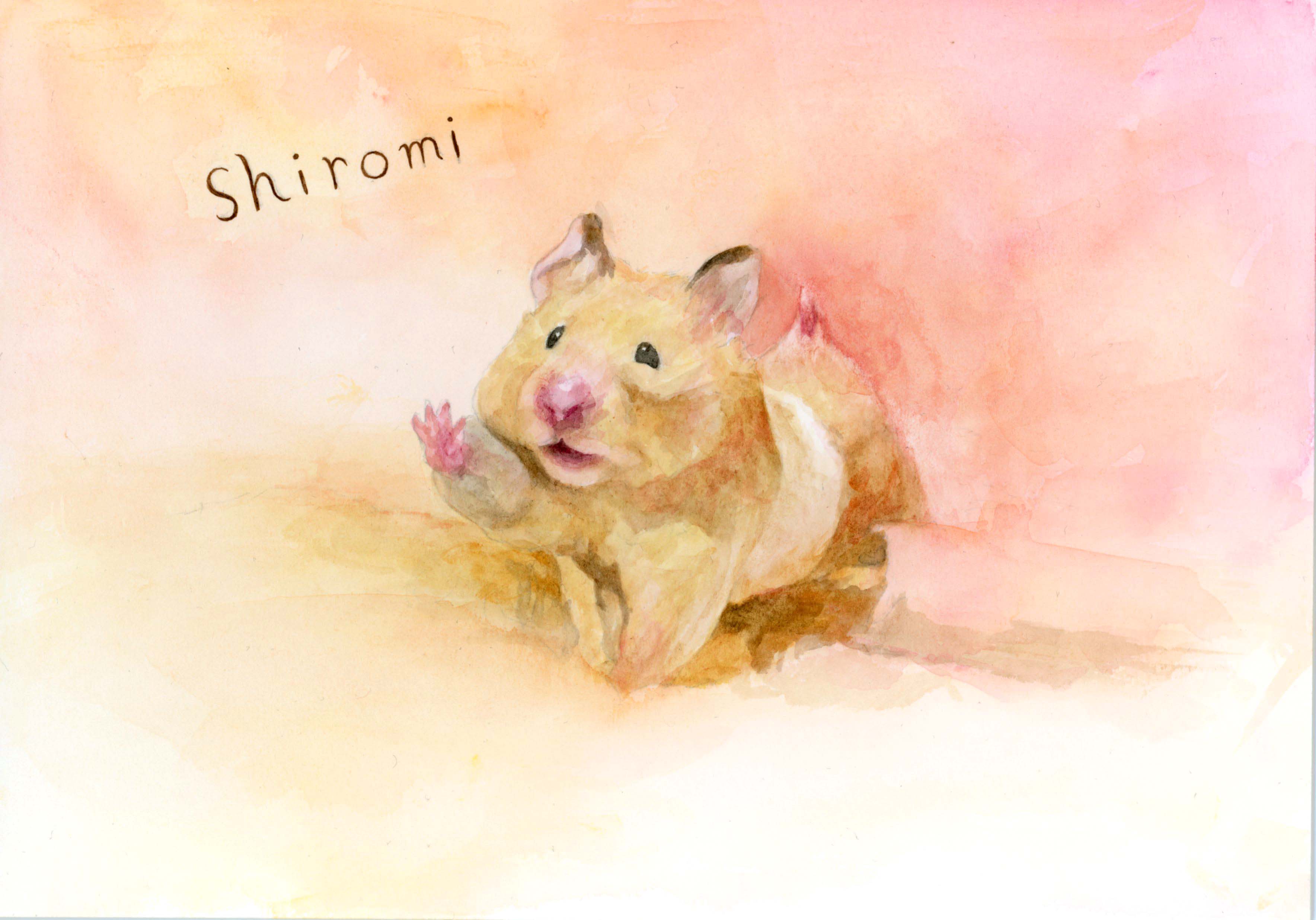 しろみちゃん