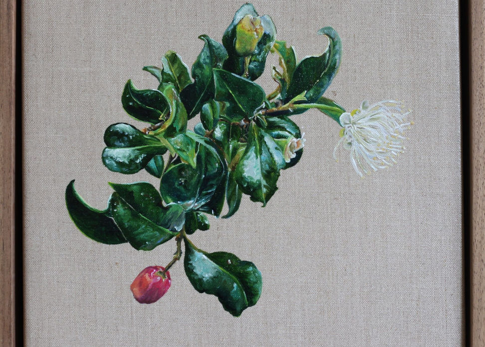 Lily Pilly Berry & Bloom.jpg