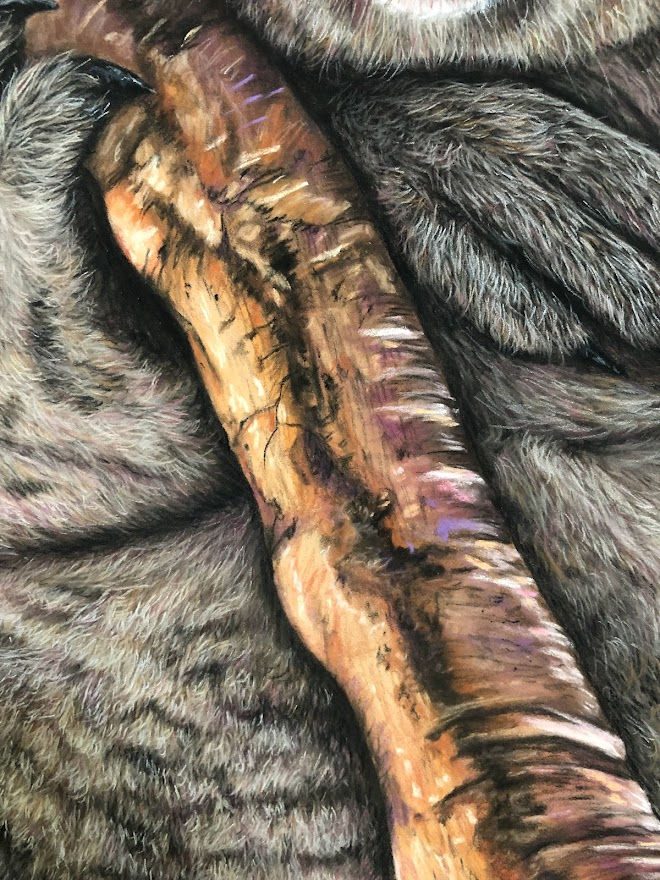 Thumbnail: Summer Bliss