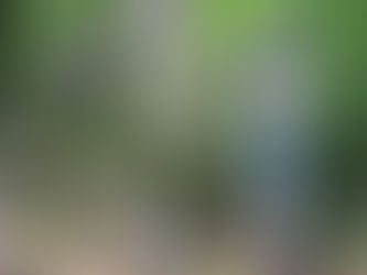 Procurando por uma empresa de consultoria ambiental Maceió?