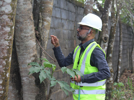 Empresa de consultoria ambiental de confiabilidade em Natal