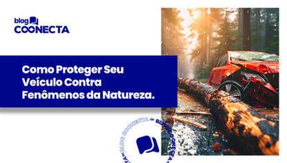 Como Proteger Seu Veículo Contra Fenômenos da Natureza