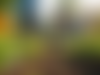 Transform Lives: Volunteer with GoldenFutureFoundation