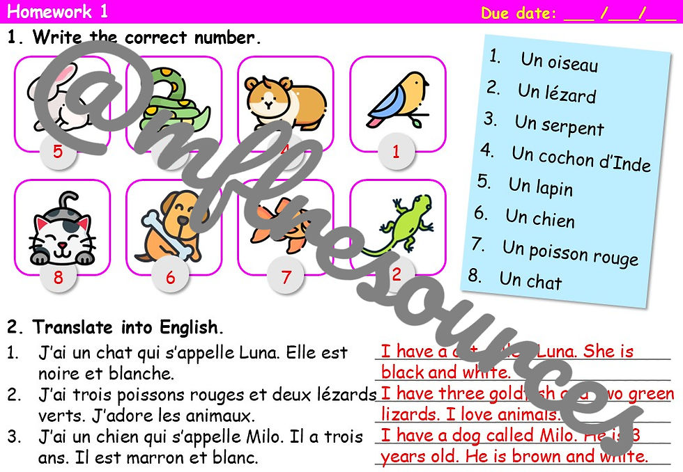 Miniatura: Dynamo 1 - Module 4 (Ma vie de famille)- Homework booklet