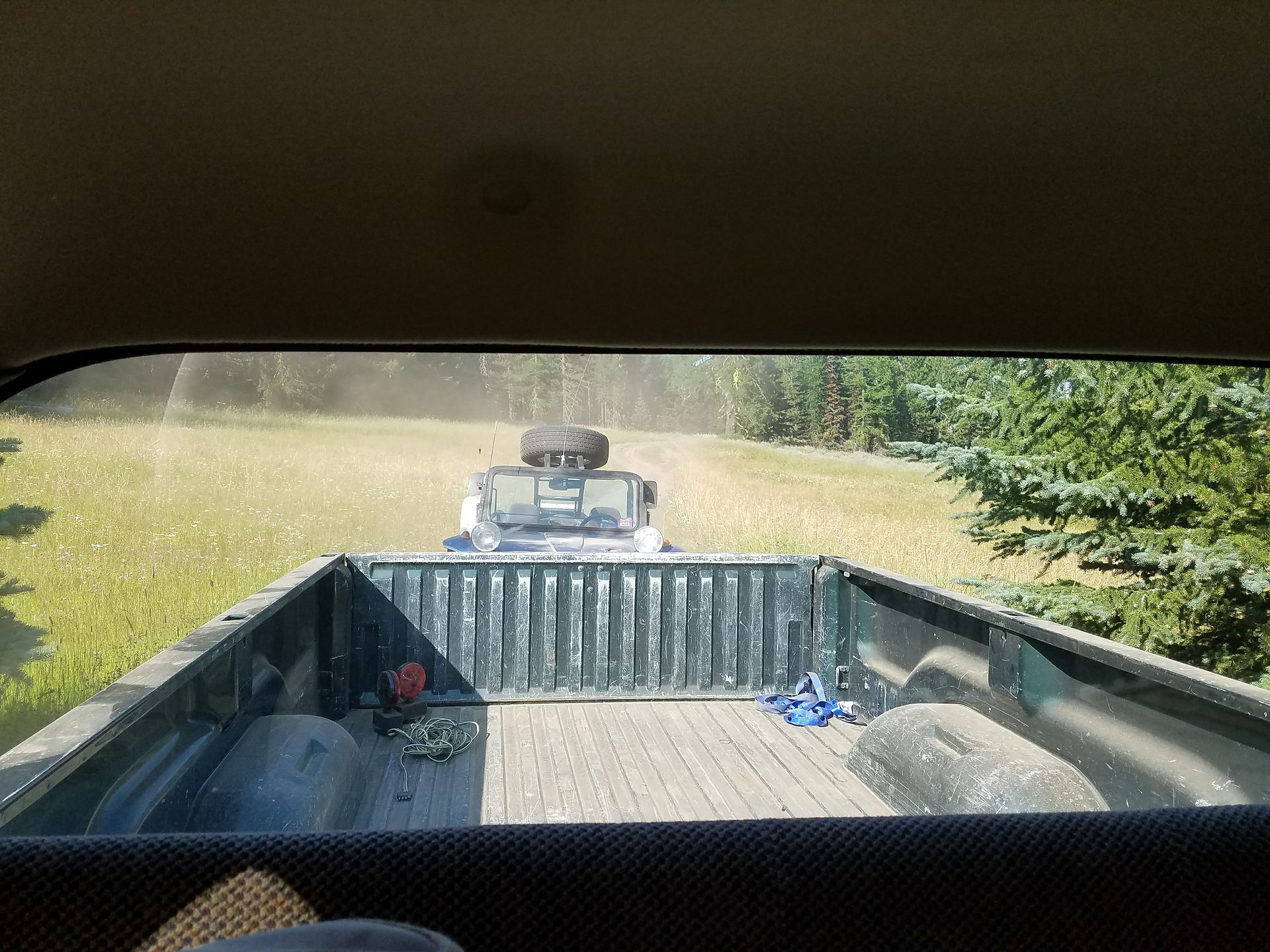 Buggy in tow