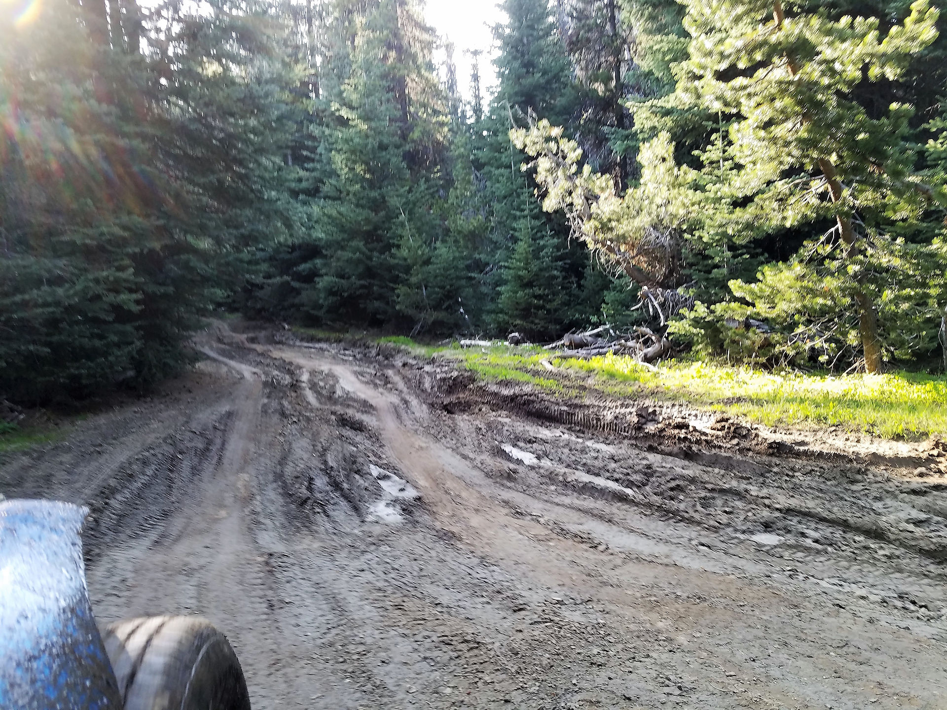 That's a lotta mud!