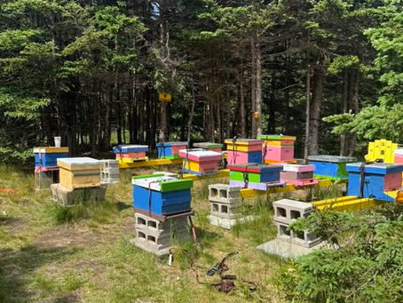 Simply Bee-"ing" June 23, 2025