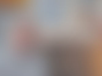 Argentina, no caos com Milei