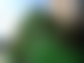 Jornalista pede investigação de  emenda para a AEL, que diz não haver nada ilegal