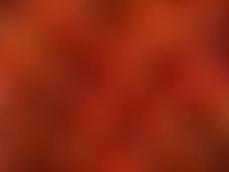 Slow-Roasted Cherry Tomatoes