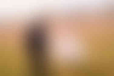 come run away with me my love king of prussia pa