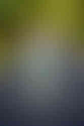 Daughter and fav stuffed animal