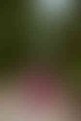 Barnegat Lighthouse LBI NJ Jaclyn Kushner Photography