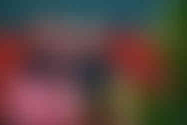 Jaclyn Kushner Photography LBI New Jersey