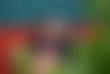 Jaclyn Kushner Photography LBI New Jersey