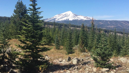 20.00 ACRES IN THE BIG EZ ESTATES - BIG SKY, MT