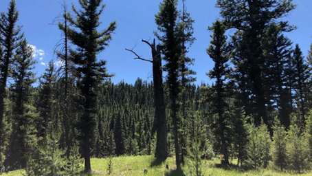 BIG SKY, MT