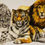 Miniaturbild: Trio Of Big Cats Fine Art Card